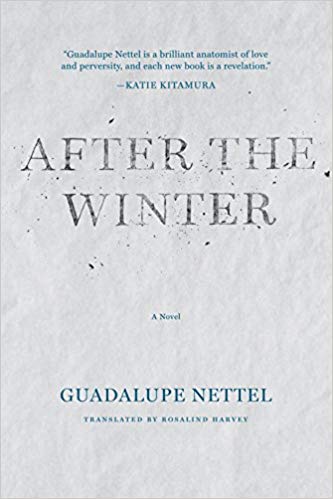 After the Winter Book Cover