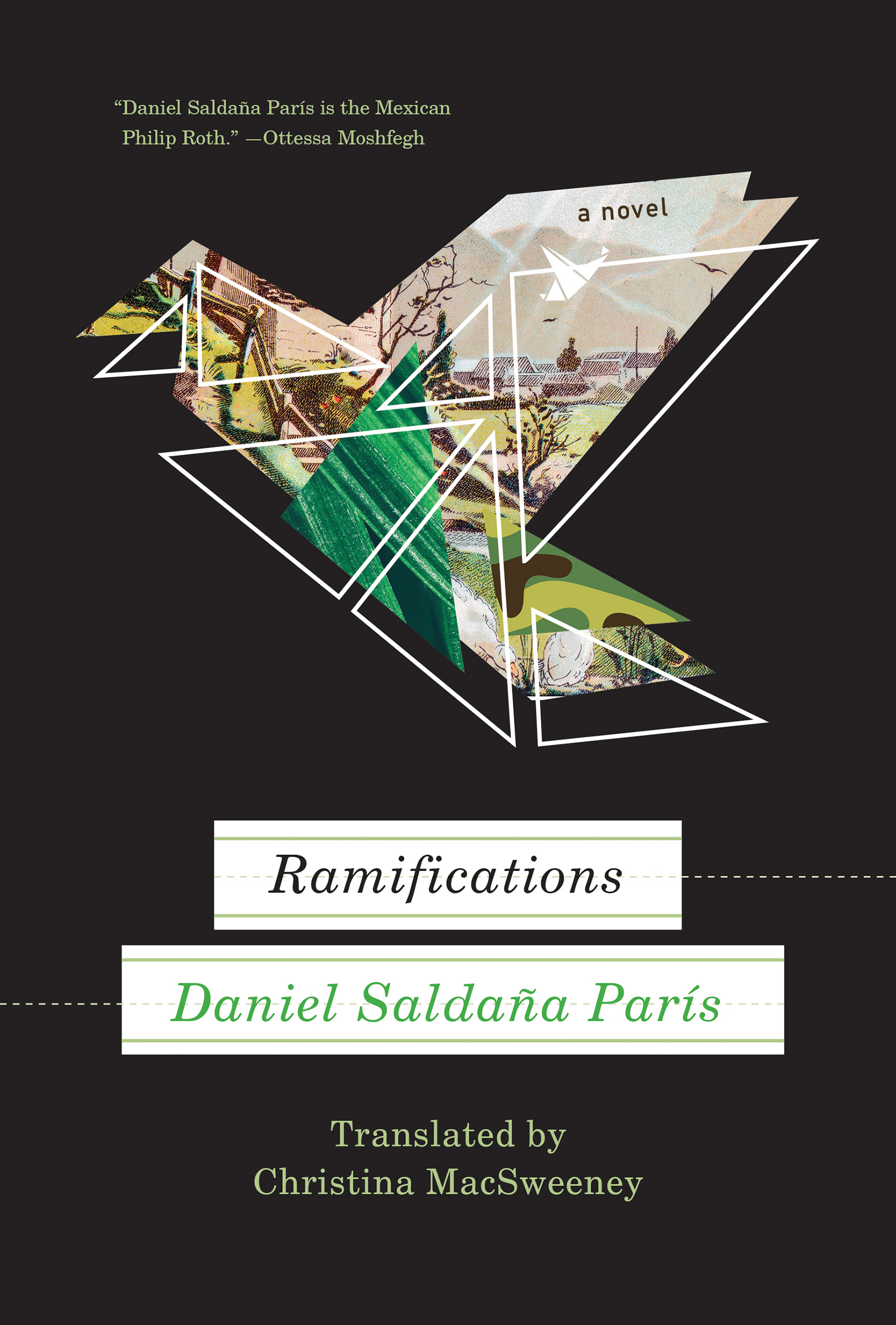 <em>Ramifications</em>: A Novel by Daniel Saldaña París