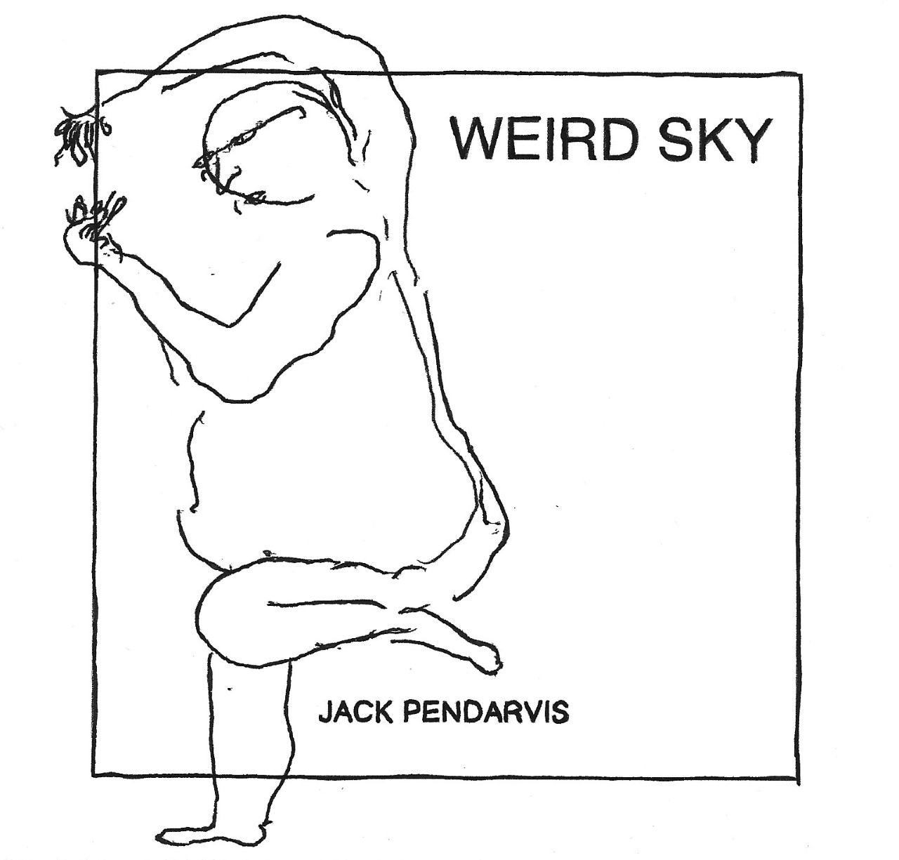 The Owls of Literature | An Interview with Jack Pendarvis