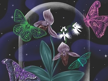 Museum of Night