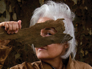 That’s the Way to Tell a Story | An Interview with Diane Williams