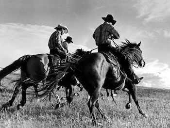 One Writes on the Wind with Horses