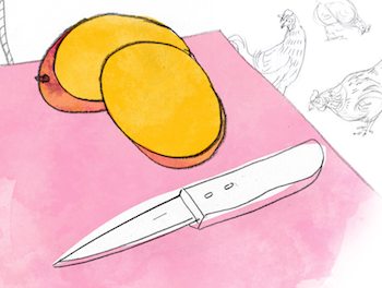 The Story of the Noose