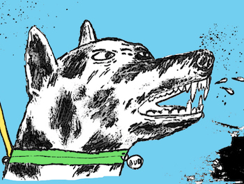 If You’re Watching