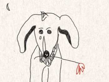 No Late Fee at the Library of Love | A Conversation with Courtney Marie Andrews