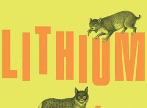 The Mania of Finding Meaning